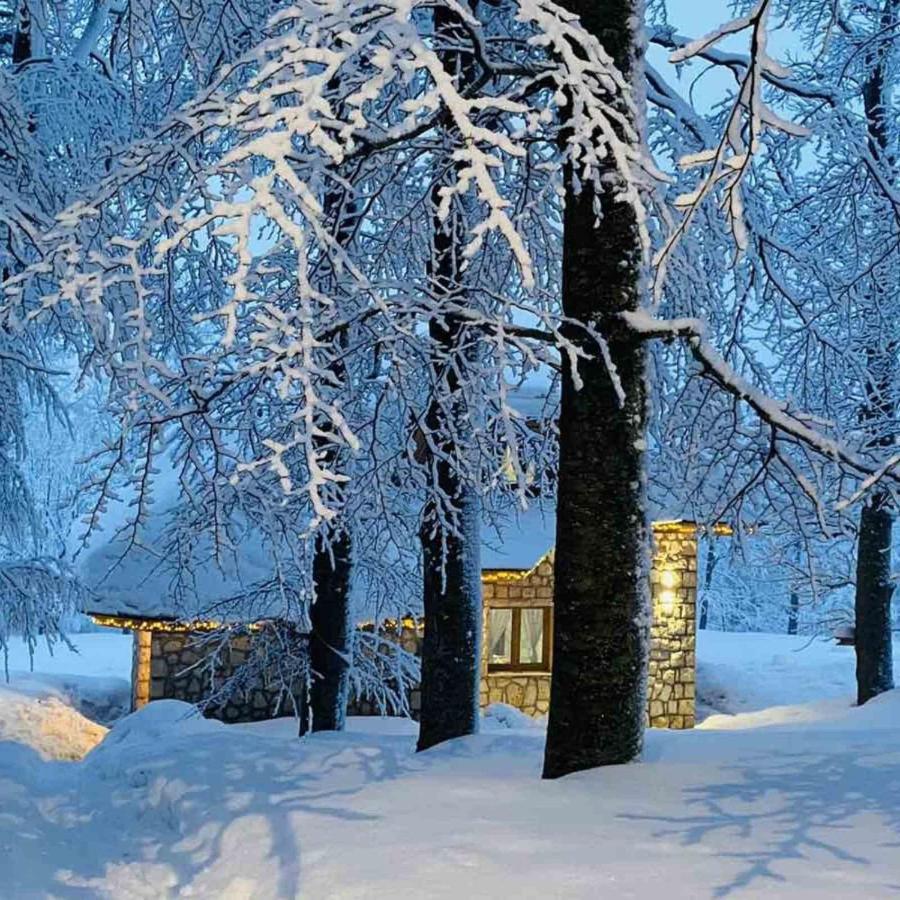 Green Forest Žabljak Dış mekan fotoğraf
