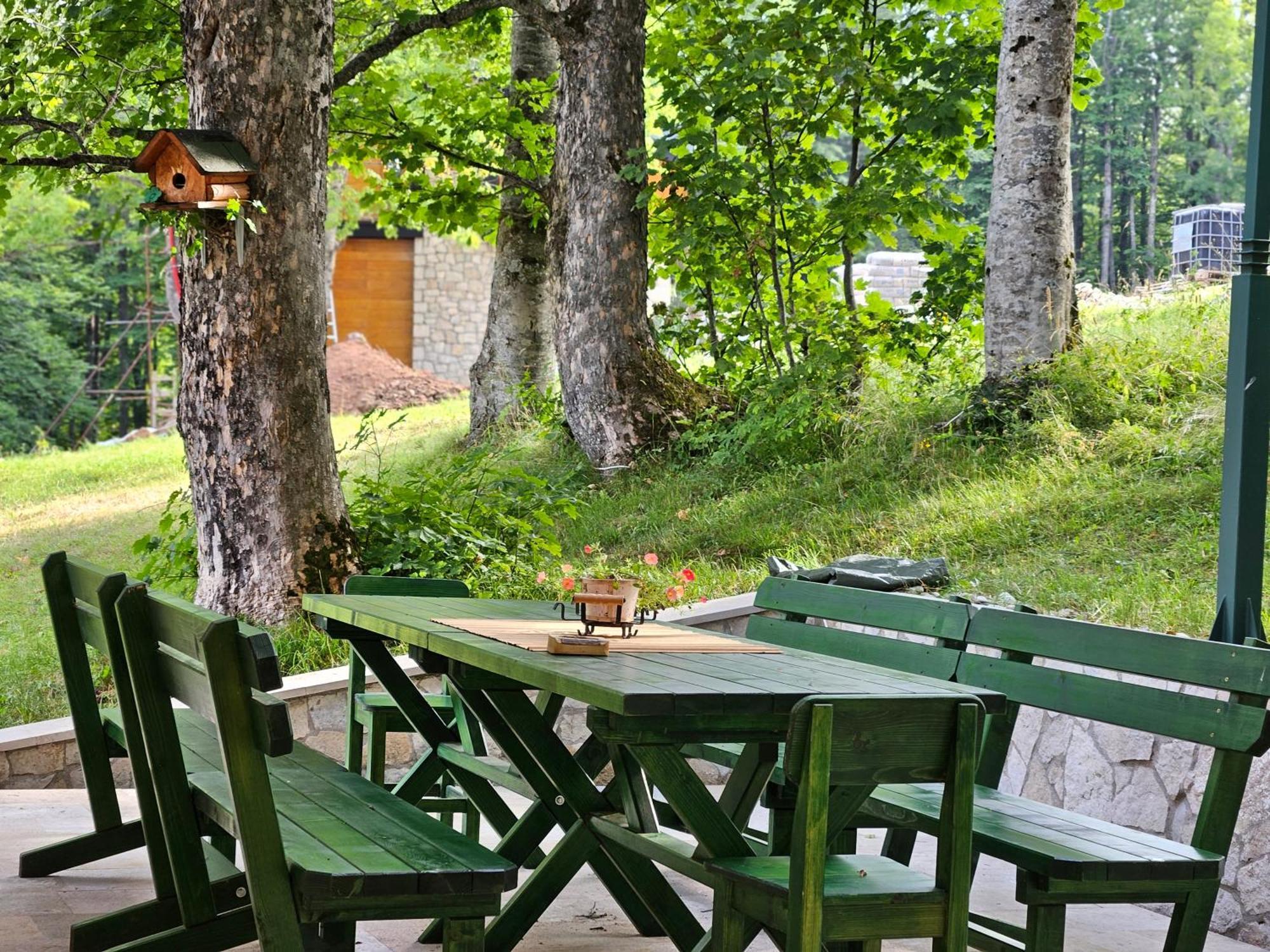 Green Forest Žabljak Dış mekan fotoğraf