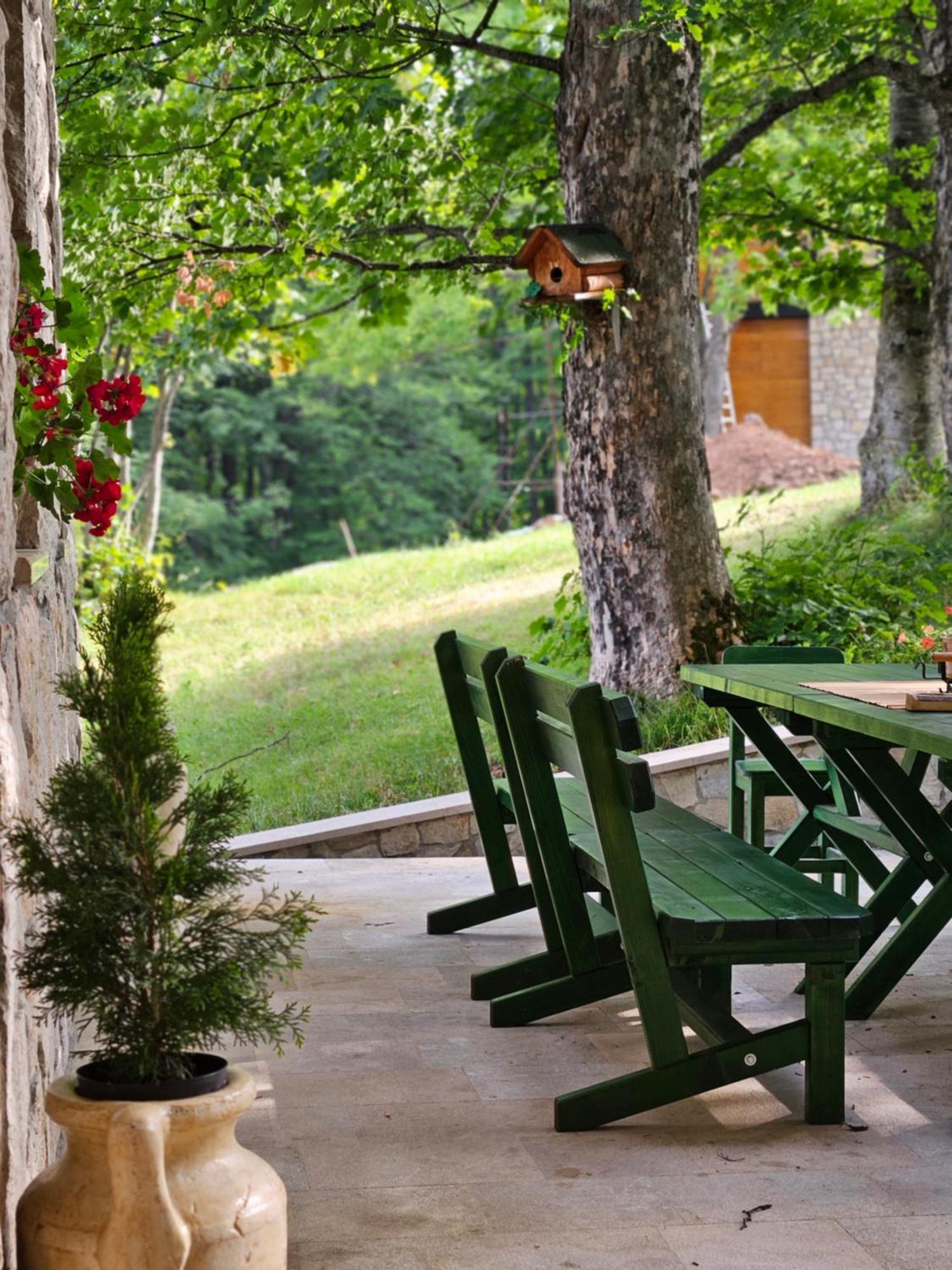 Green Forest Žabljak Dış mekan fotoğraf
