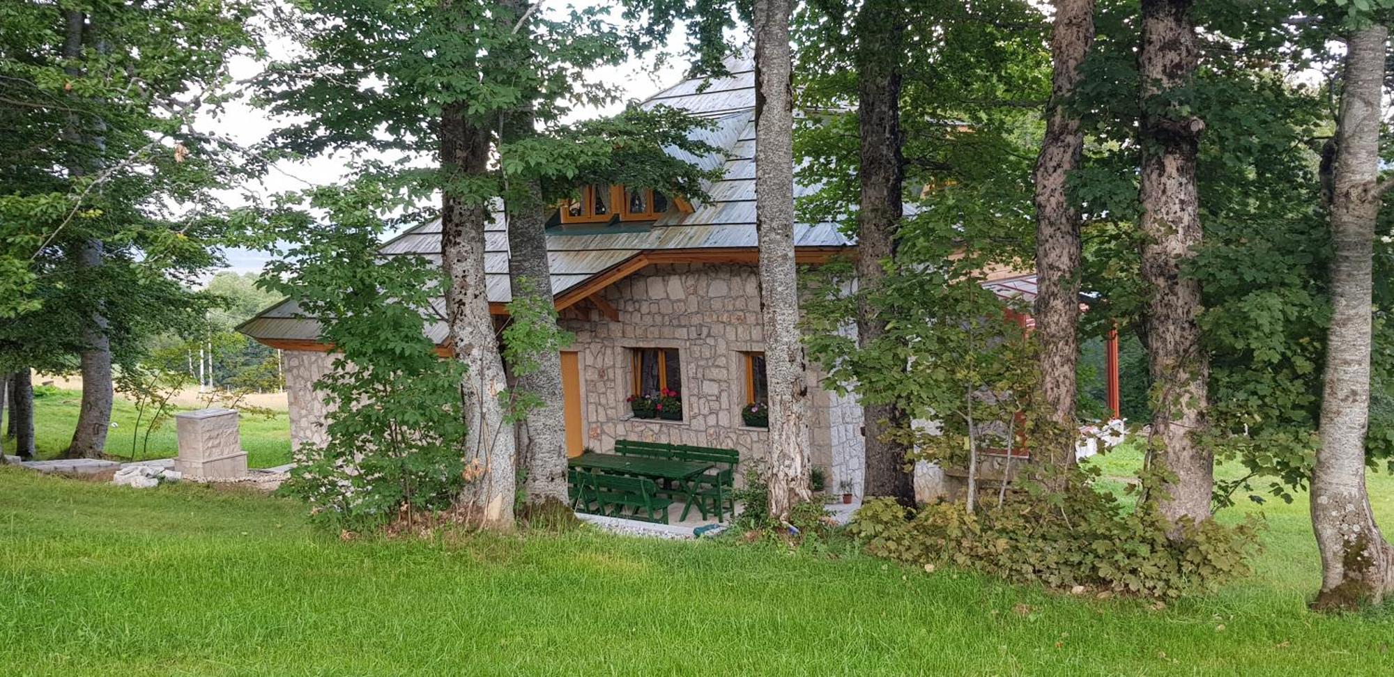 Green Forest Žabljak Dış mekan fotoğraf