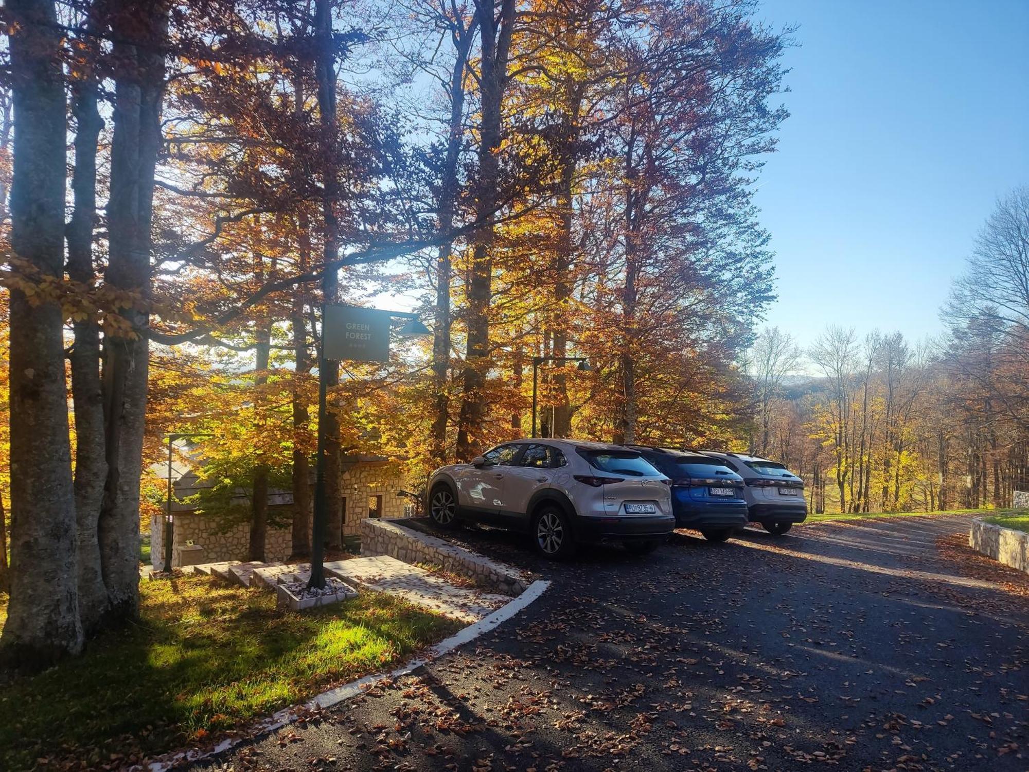 Green Forest Žabljak Dış mekan fotoğraf
