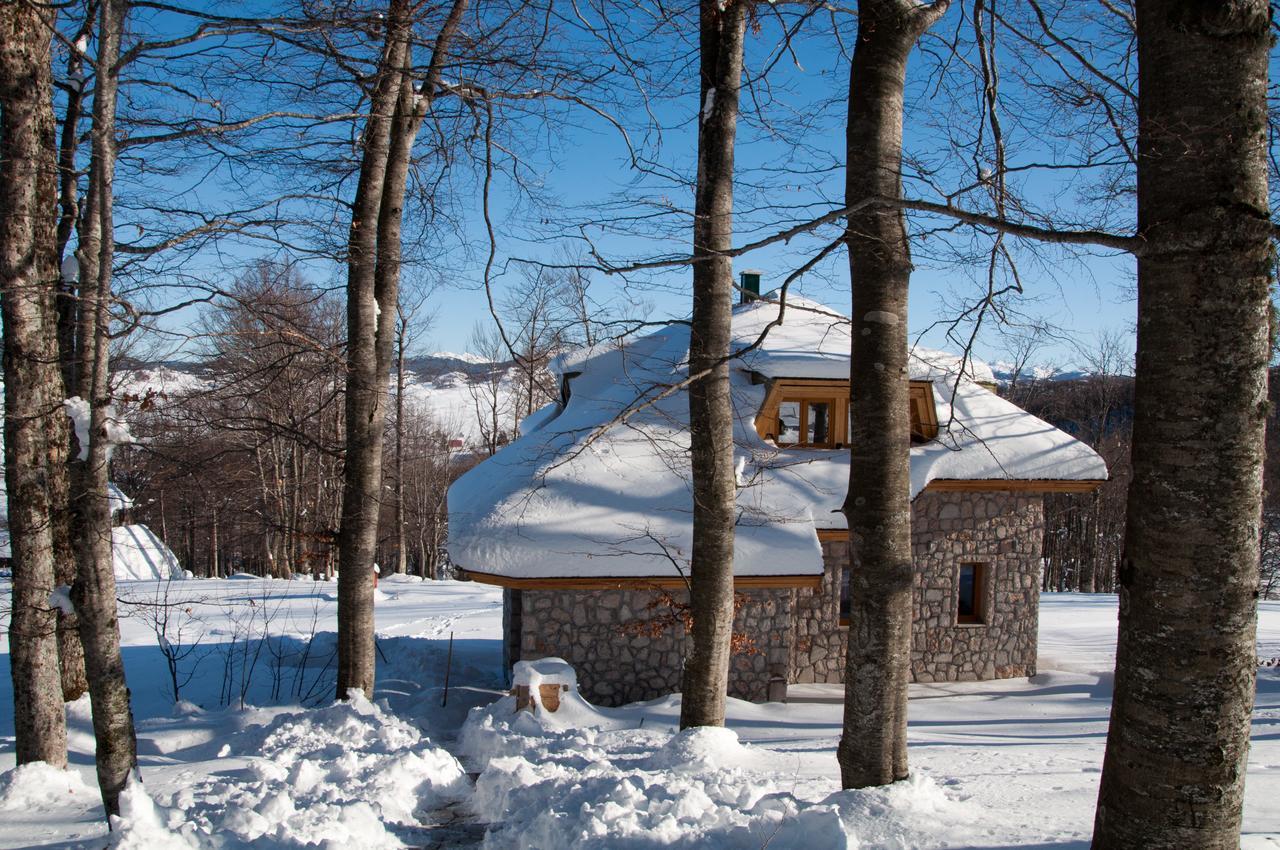 Green Forest Žabljak Dış mekan fotoğraf