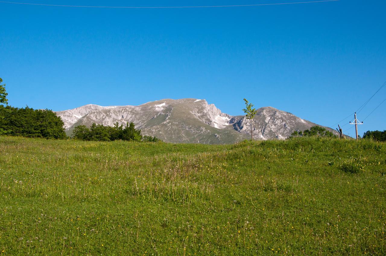 Green Forest Žabljak Dış mekan fotoğraf