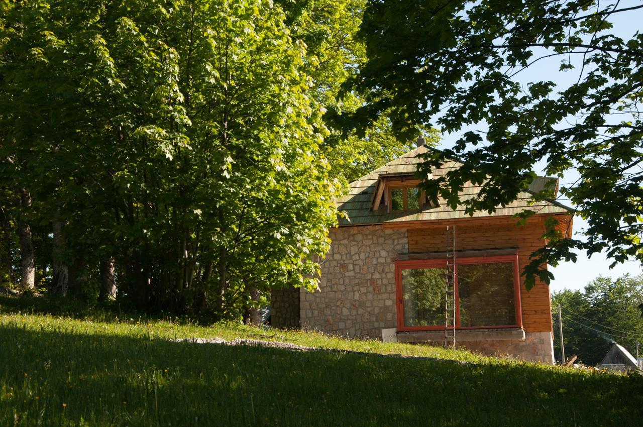 Green Forest Žabljak Dış mekan fotoğraf