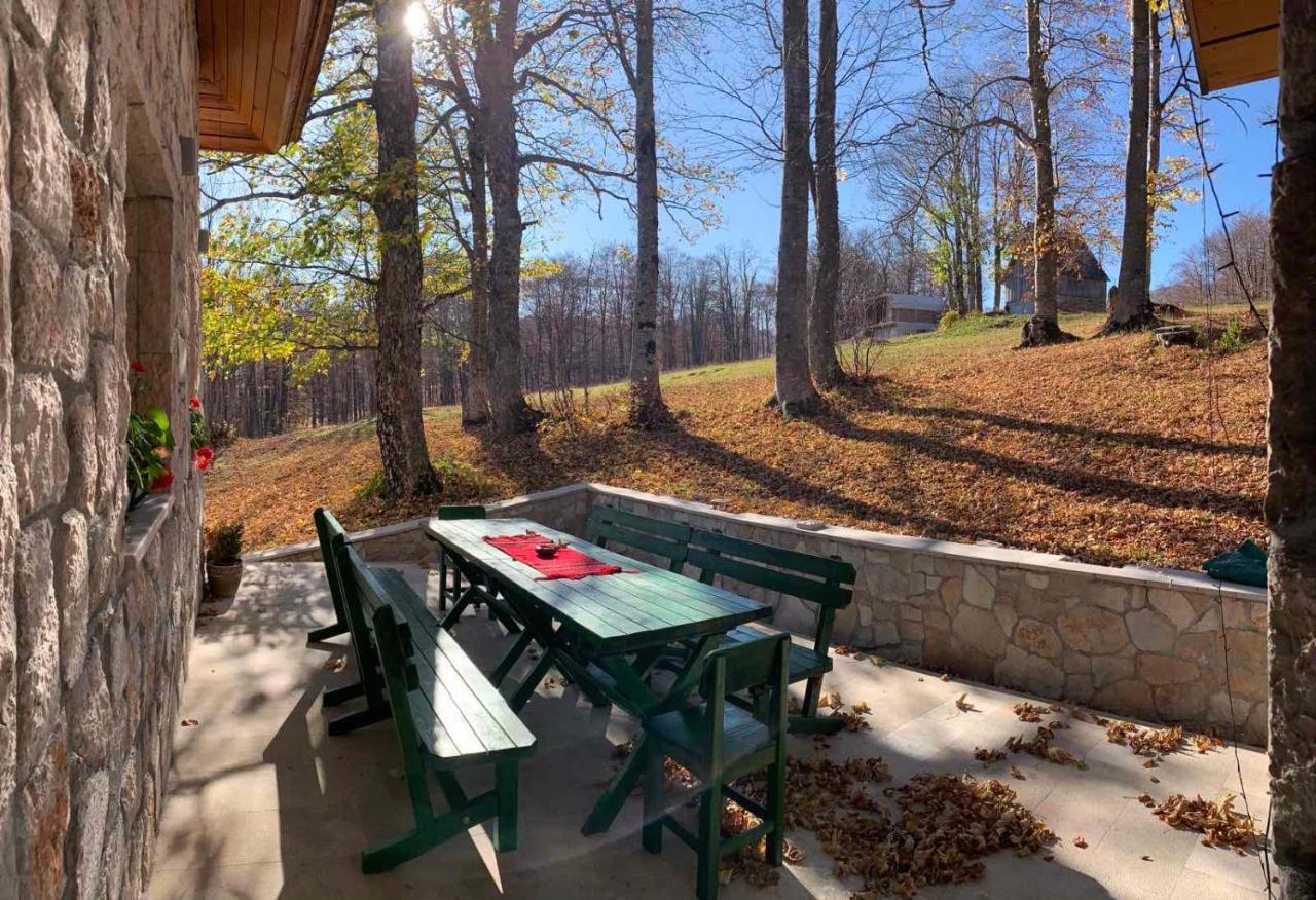 Green Forest Žabljak Dış mekan fotoğraf